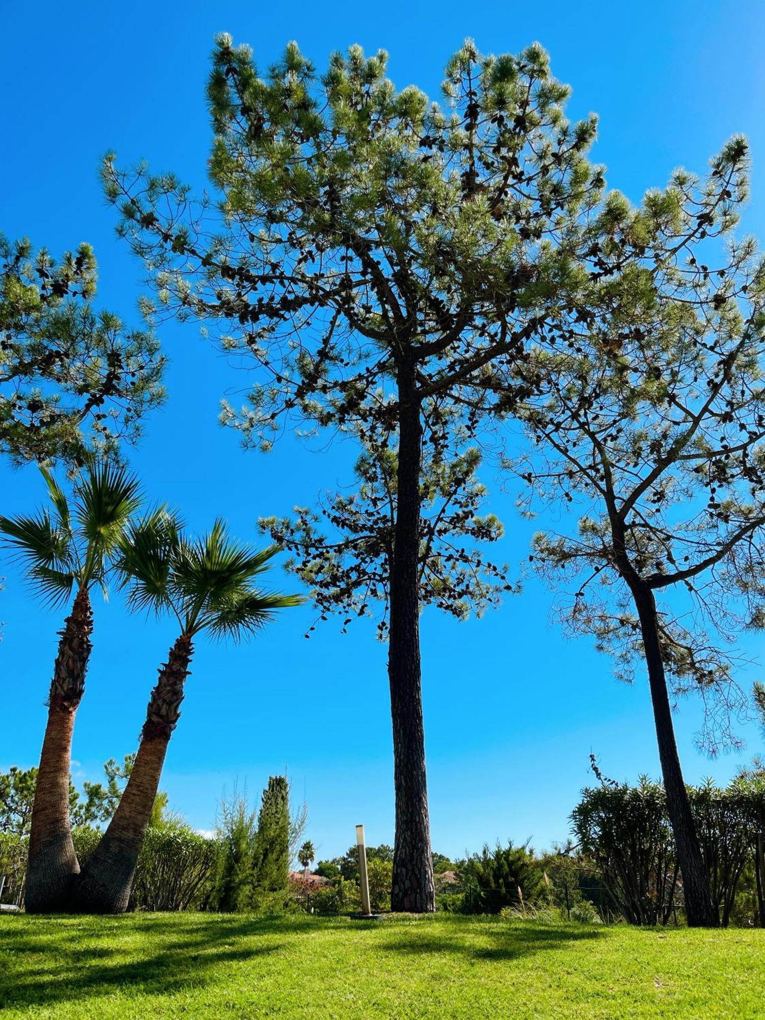 Scarlet'S Place - 1 Bed Victory Village Quinta Do Lago - Beach, Nature, Lakes Exterior photo